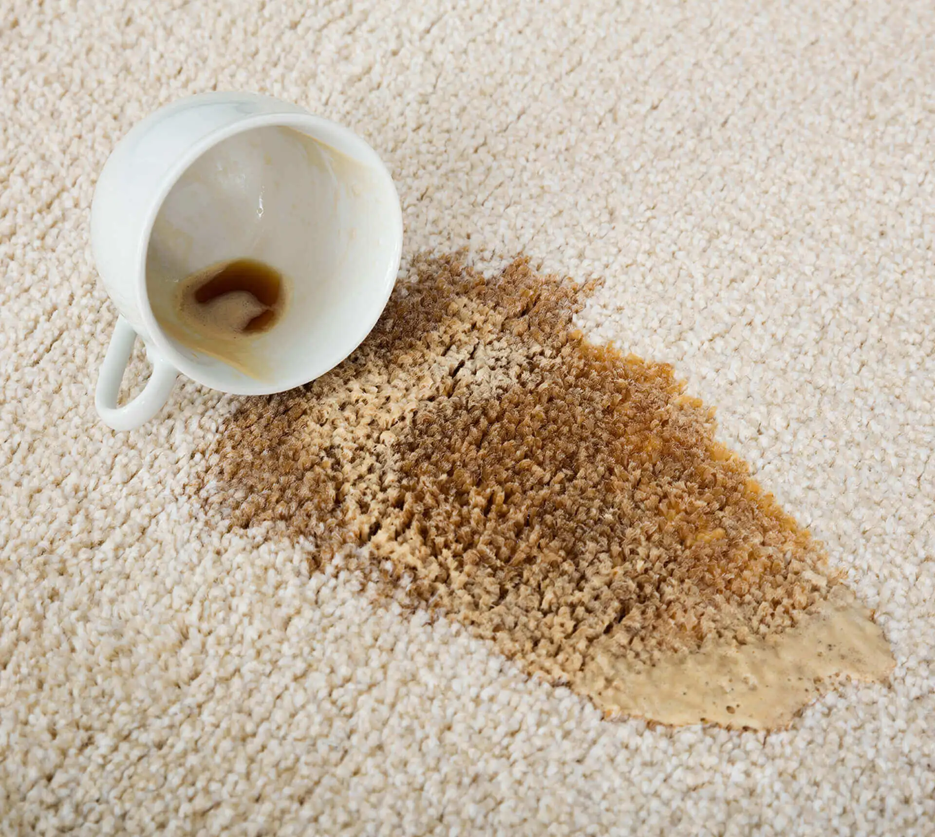 Halıdan Çay Lekesi Nasıl Çıkar? (2026 Güncel Rehber)